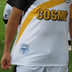 campeonato futebol principal 2013 48
